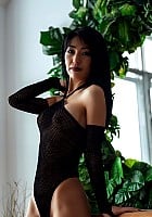 Shaya Asian